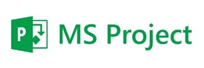 ms project